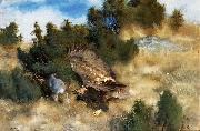 bruno liljefors orn jagande hare USA oil painting artist